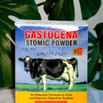 GASTOCENA STOMIC POWDER
