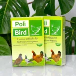 Poly Bird Powder
