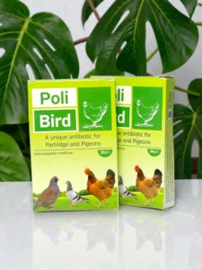 Poly Bird Powder