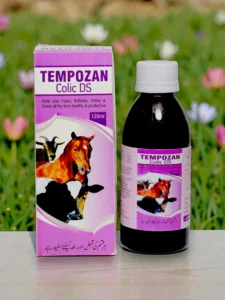TEMPOZAN Colic DS 120 ml Syrup